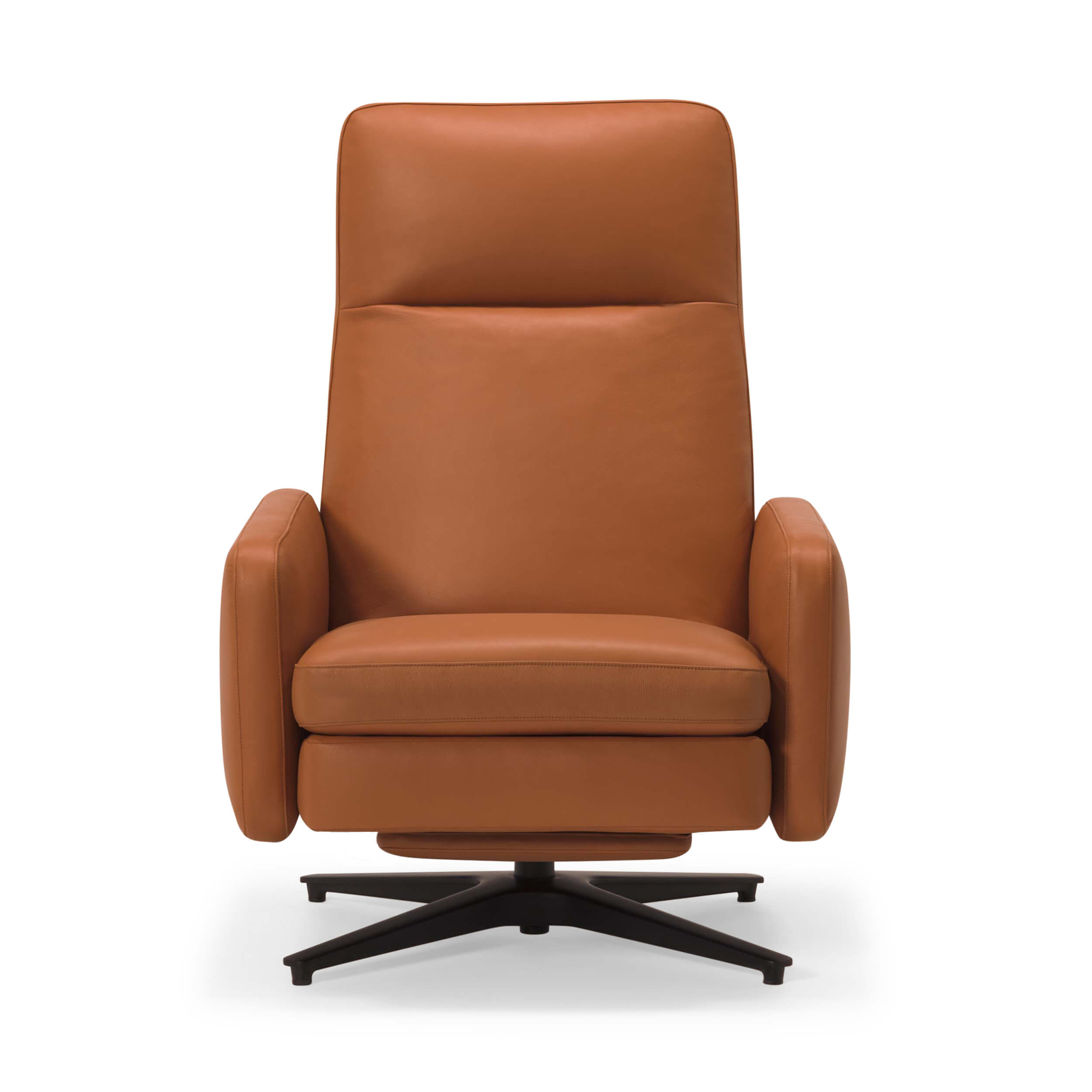 Sleek Recliner Chair